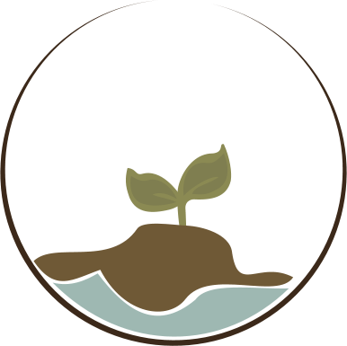 logo icon01